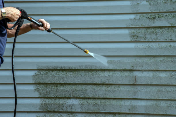 Best Brick and Stone Cleaning in Blair, WI