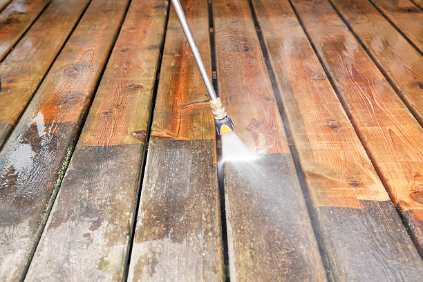 Best Roof Cleaning and Mildew Removal in Blair, WI